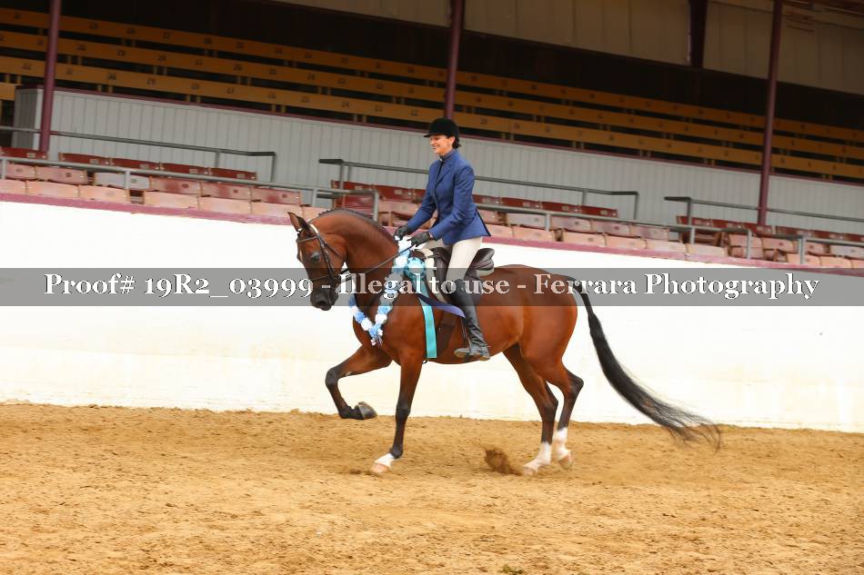 Proof Number 19R2_03999