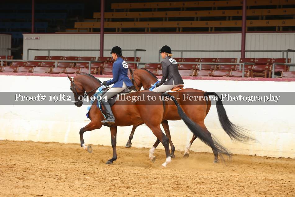 Proof Number 19R2_04004