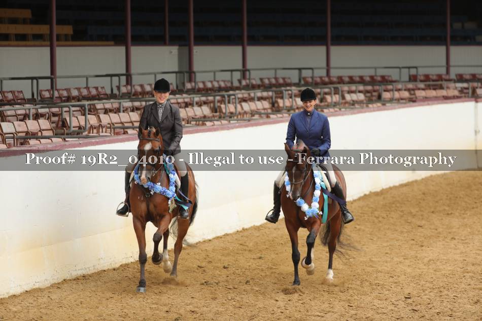 Proof Number 19R2_04010