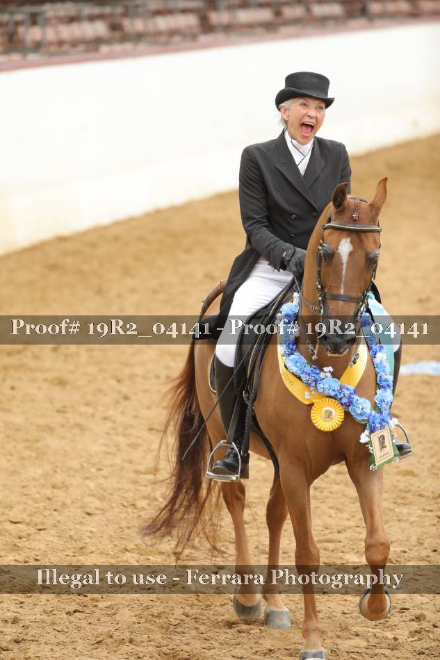 Proof Number 19R2_04141