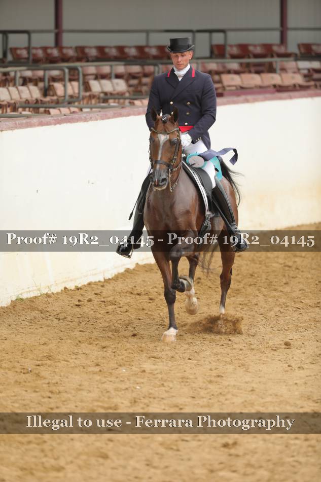 Proof Number 19R2_04145