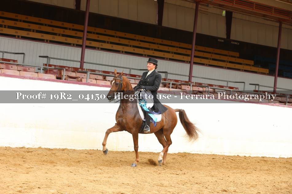 Proof Number 19R2_04150