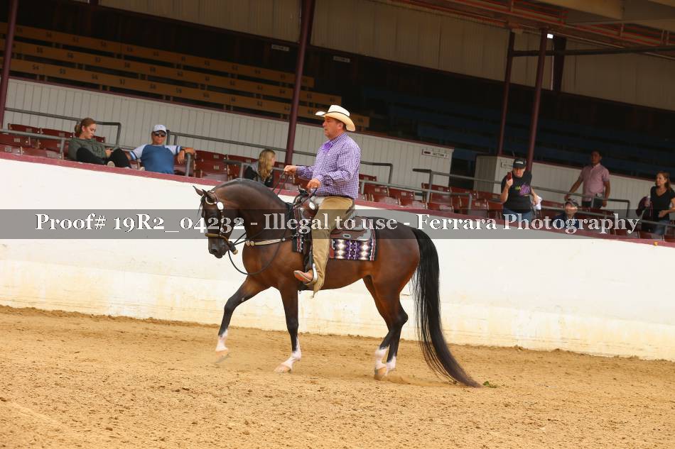 Proof Number 19R2_04232