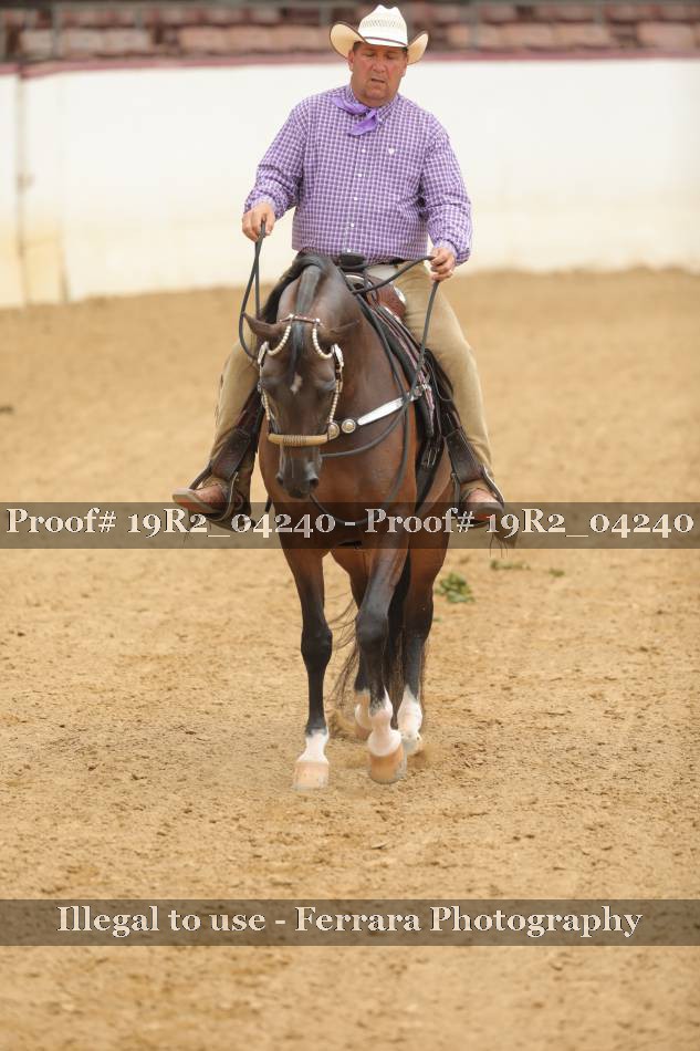 Proof Number 19R2_04240