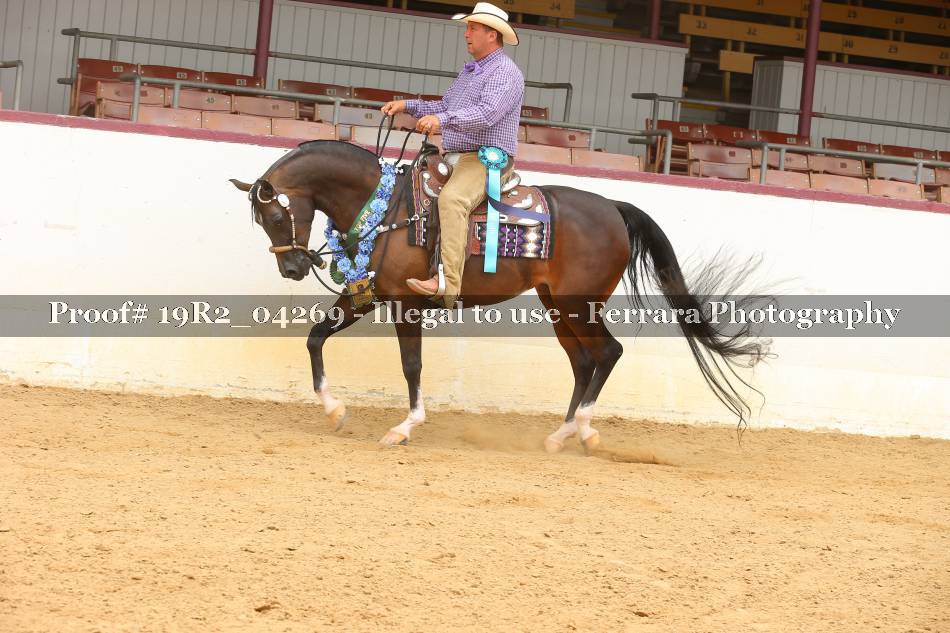 Proof Number 19R2_04269