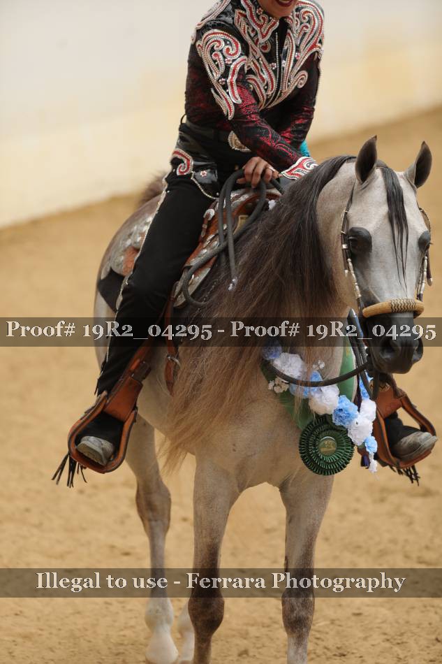 Proof Number 19R2_04295