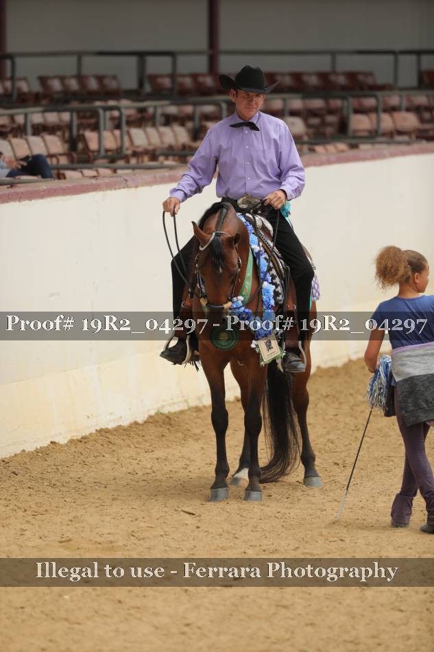 Proof Number 19R2_04297