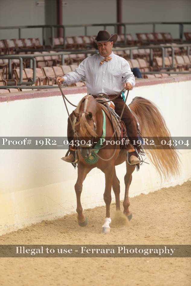 Proof Number 19R2_04304