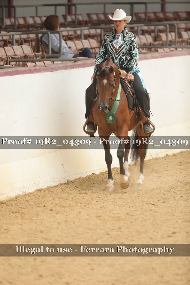 Proof Number 19R2_04309