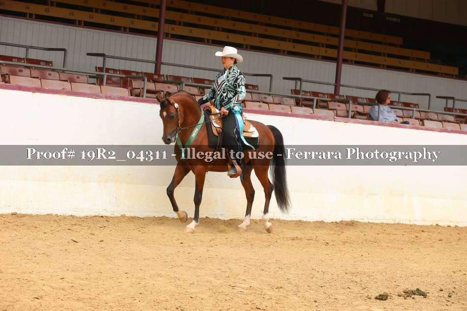 Proof Number 19R2_04311