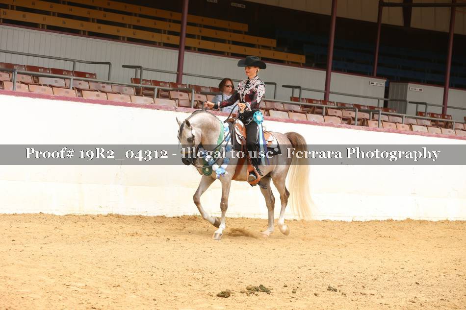 Proof Number 19R2_04312