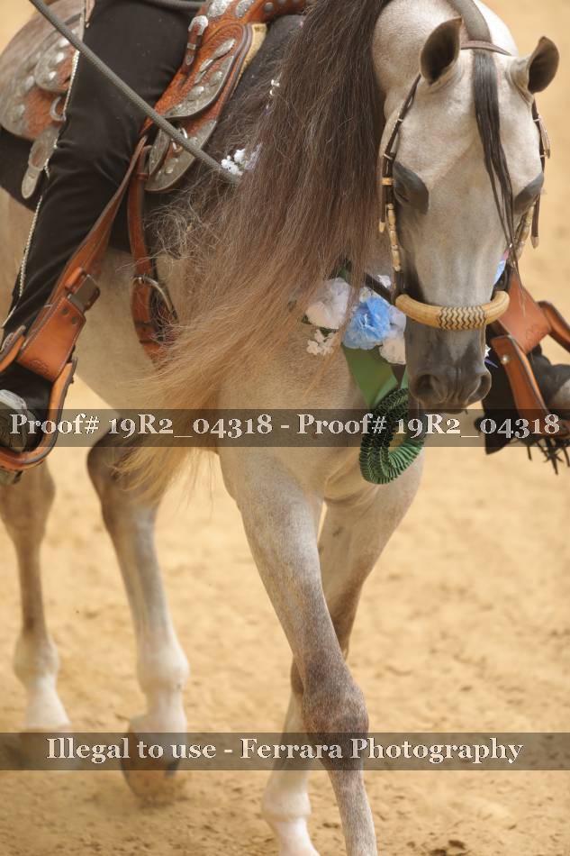 Proof Number 19R2_04318
