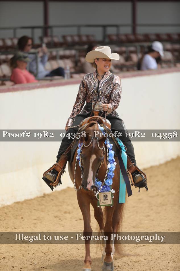 Proof Number 19R2_04358
