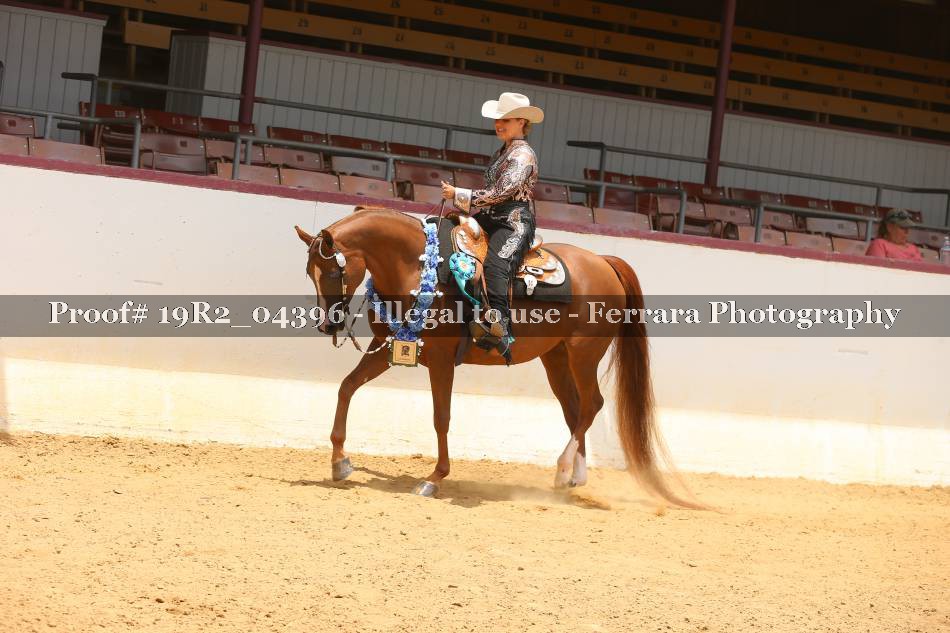 Proof Number 19R2_04396