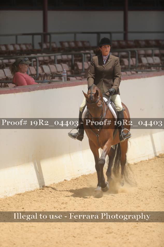 Proof Number 19R2_04403