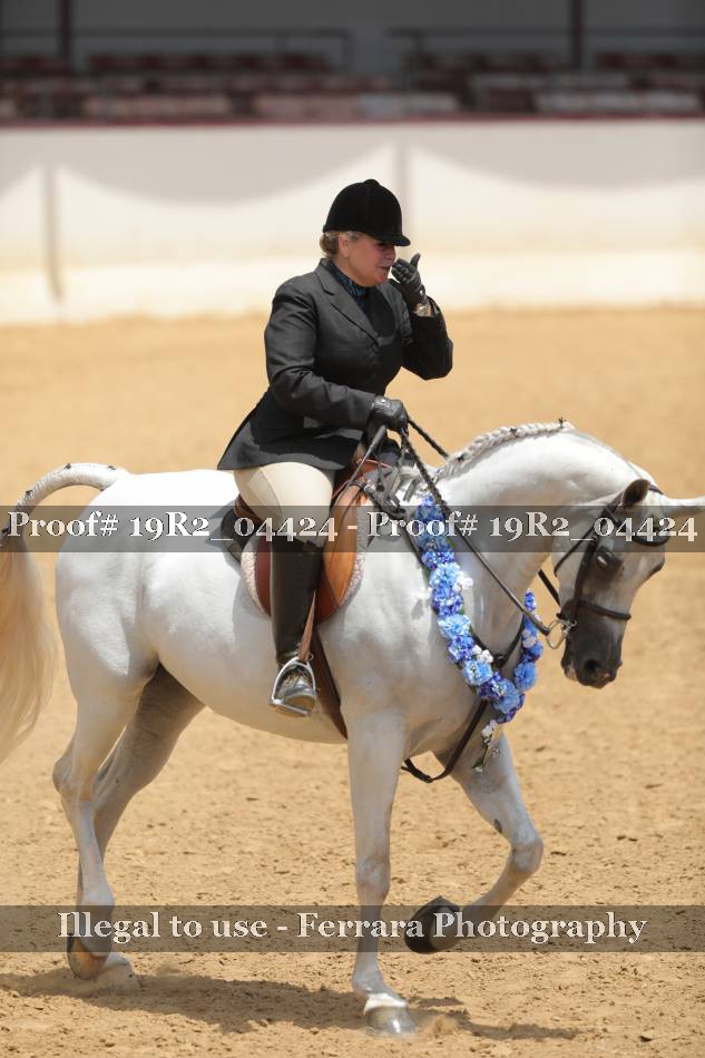 Proof Number 19R2_04424