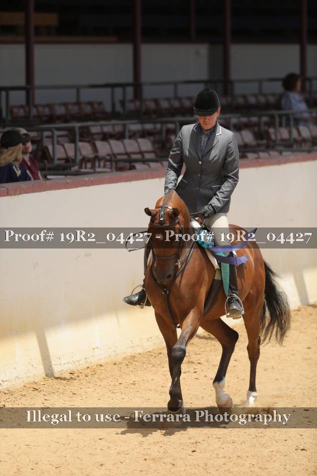 Proof Number 19R2_04427