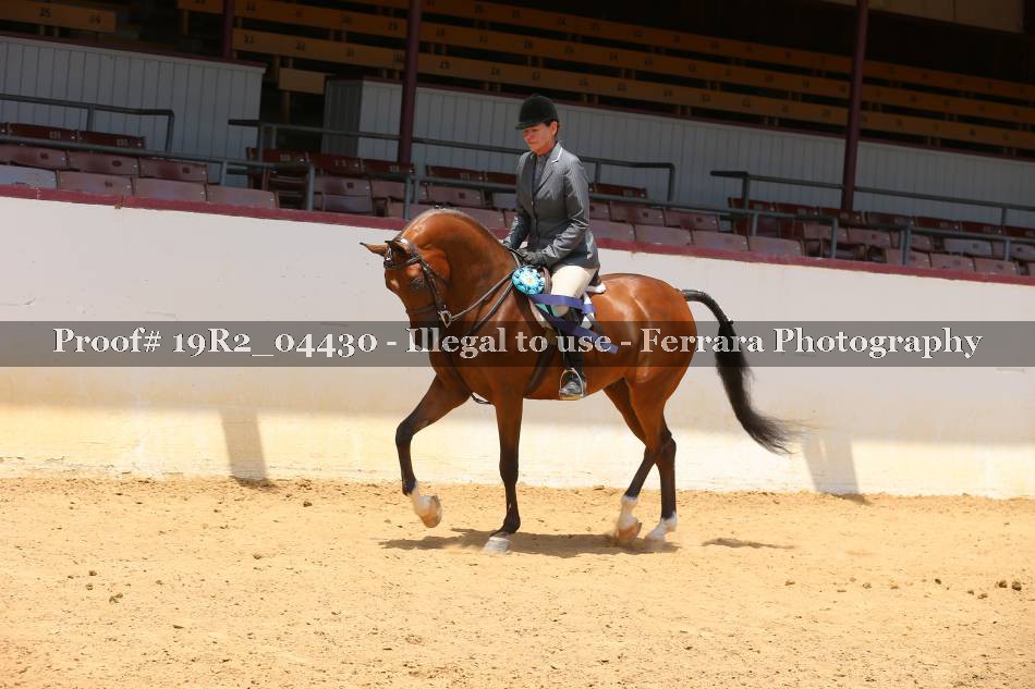 Proof Number 19R2_04430