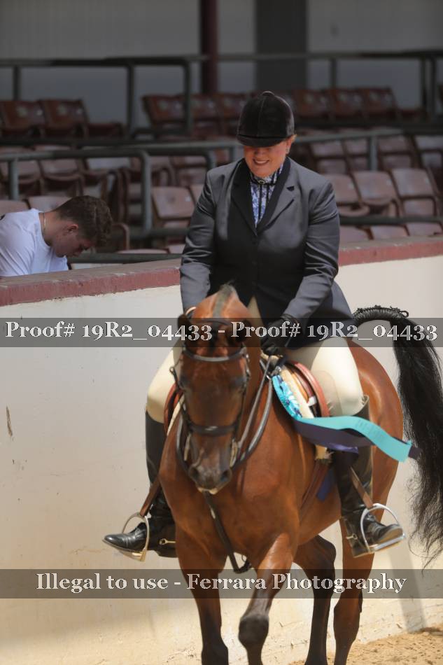 Proof Number 19R2_04433