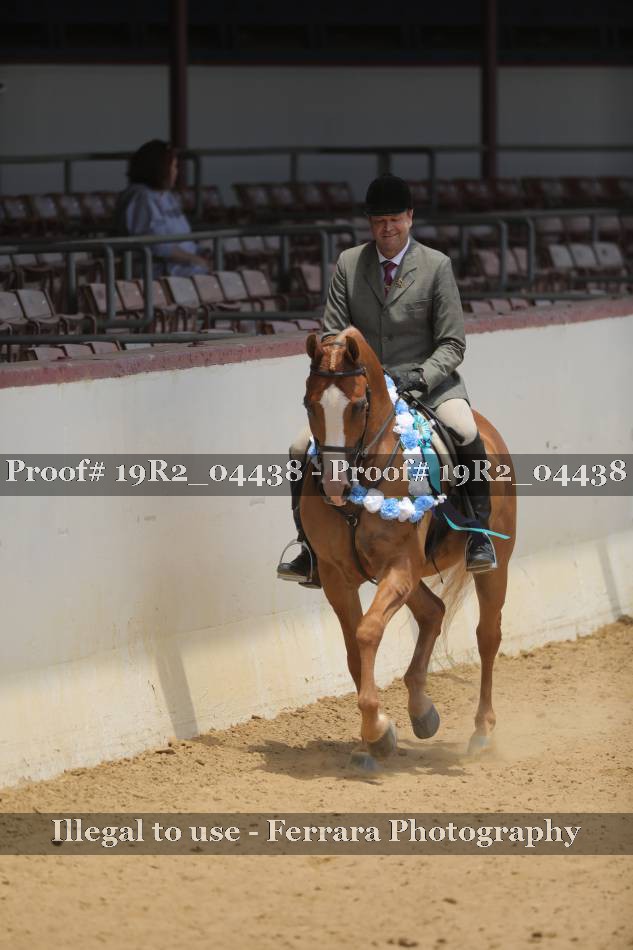 Proof Number 19R2_04438