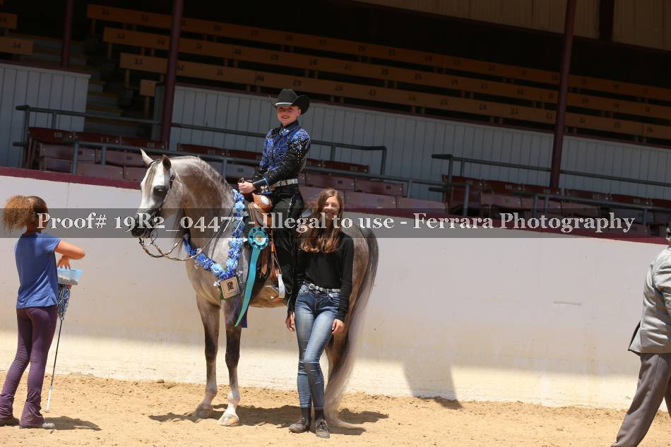 Proof Number 19R2_04477