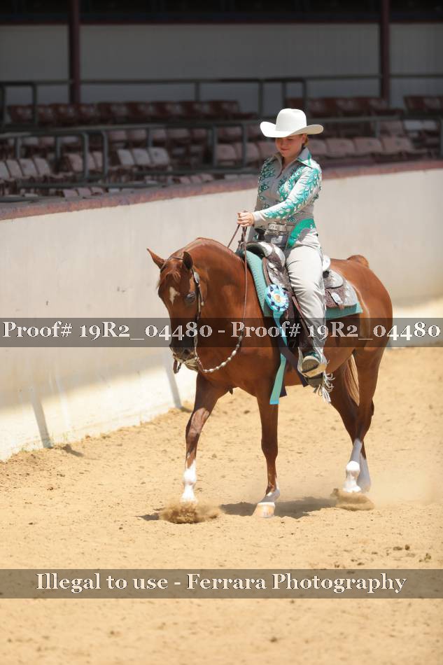 Proof Number 19R2_04480