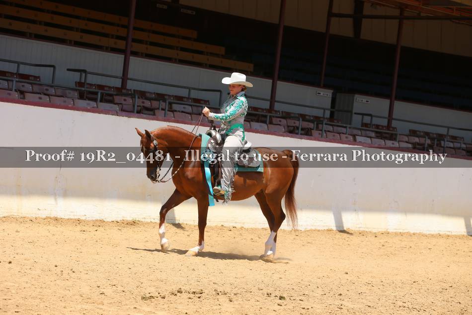 Proof Number 19R2_04481