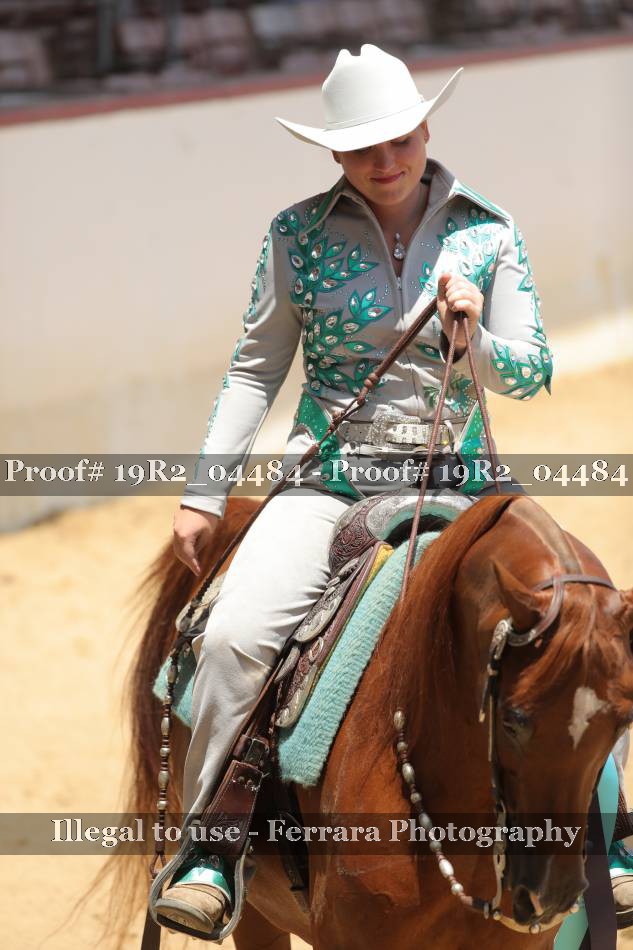 Proof Number 19R2_04484