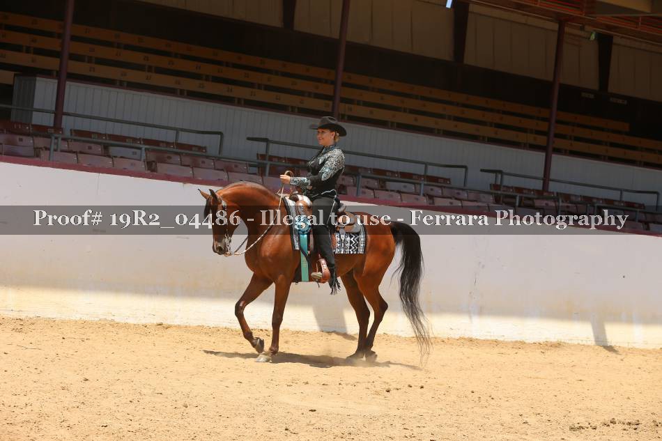 Proof Number 19R2_04486