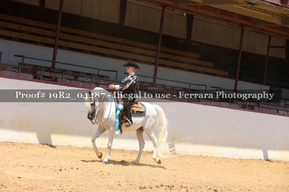 Proof Number 19R2_04487