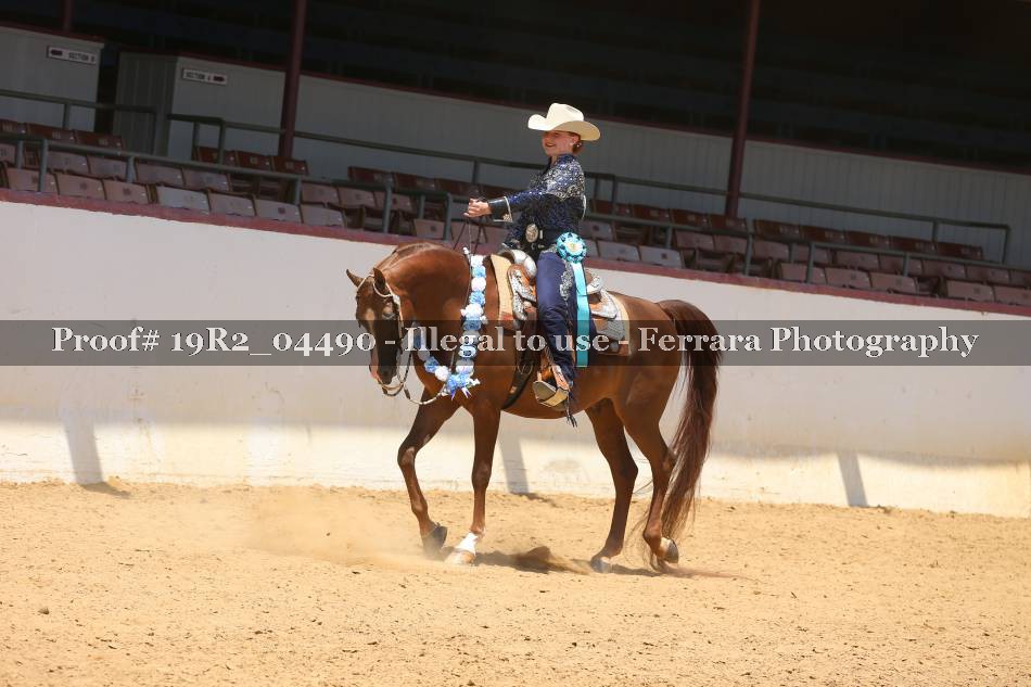 Proof Number 19R2_04490