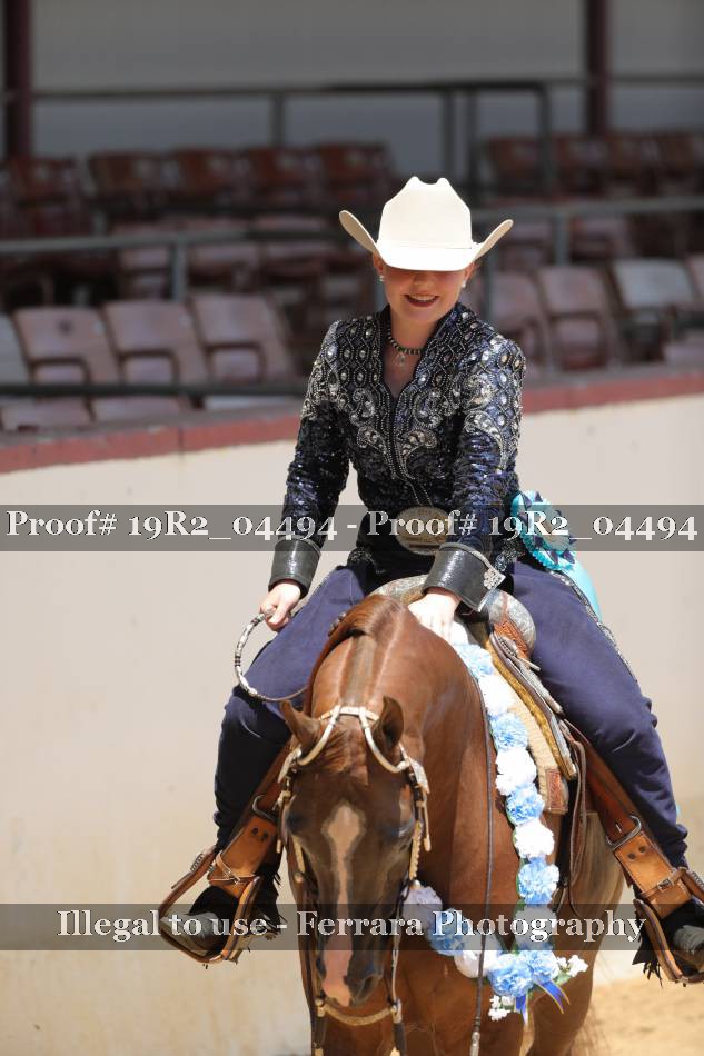 Proof Number 19R2_04494