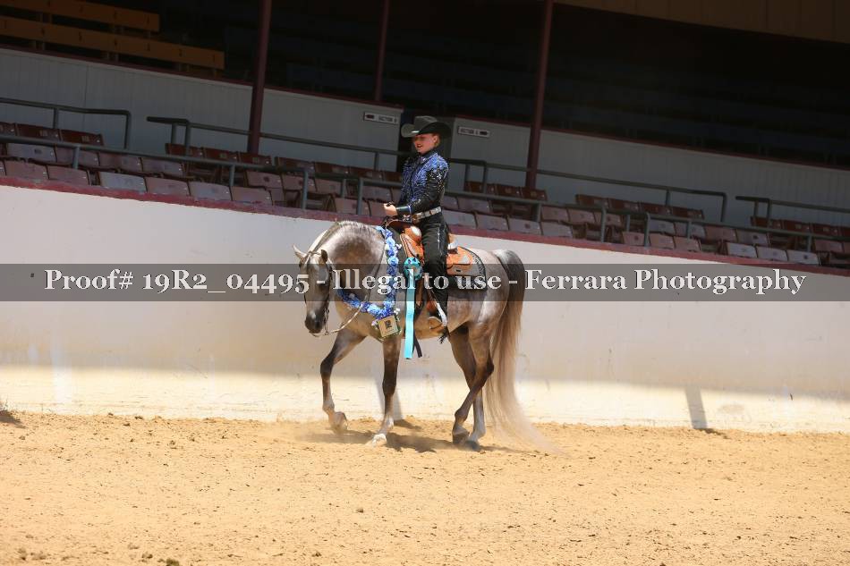 Proof Number 19R2_04495