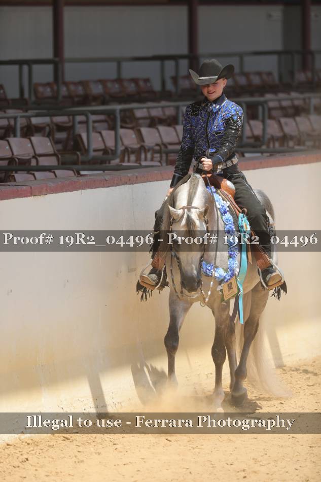 Proof Number 19R2_04496
