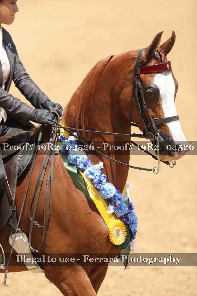 Proof Number 19R2_04526