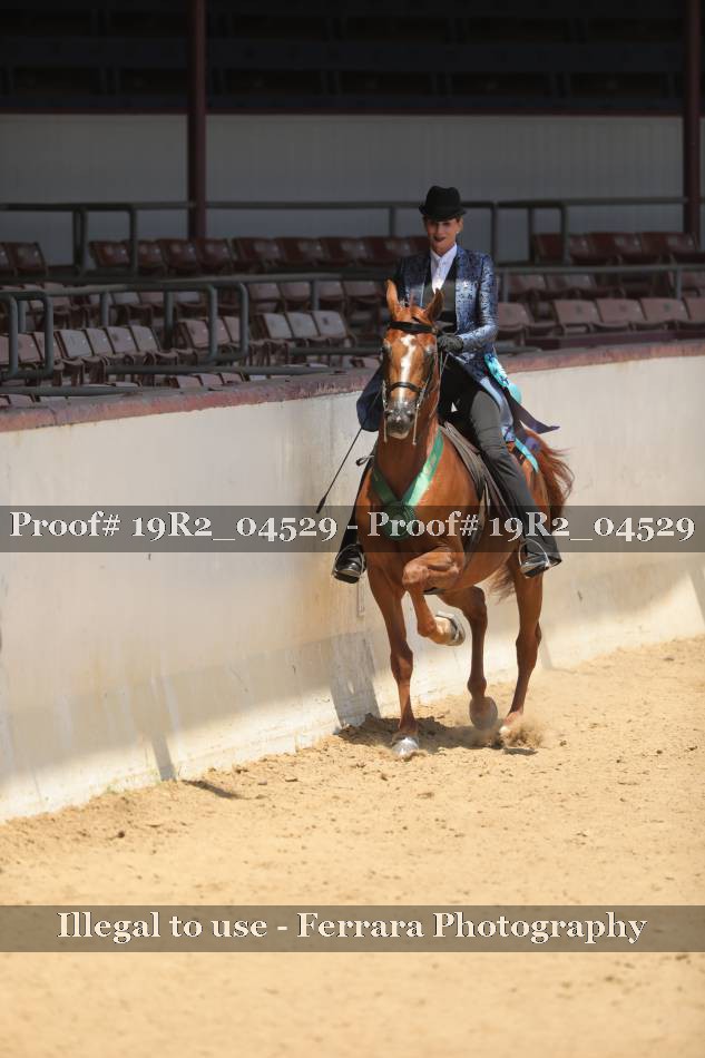 Proof Number 19R2_04529