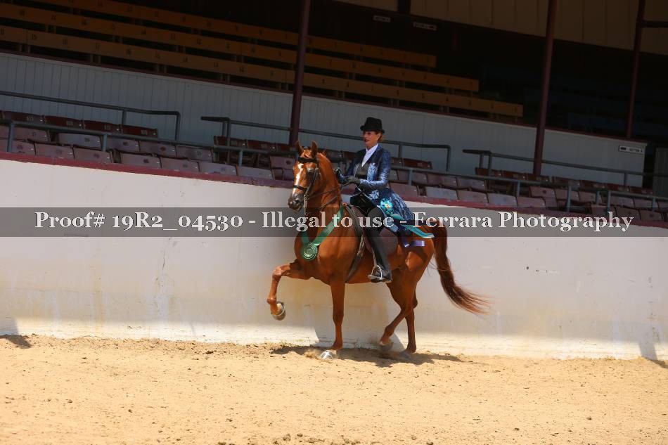 Proof Number 19R2_04530