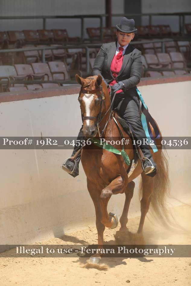 Proof Number 19R2_04536