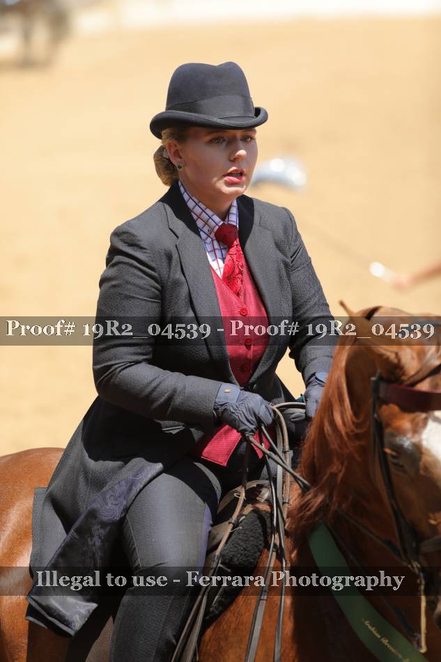 Proof Number 19R2_04539