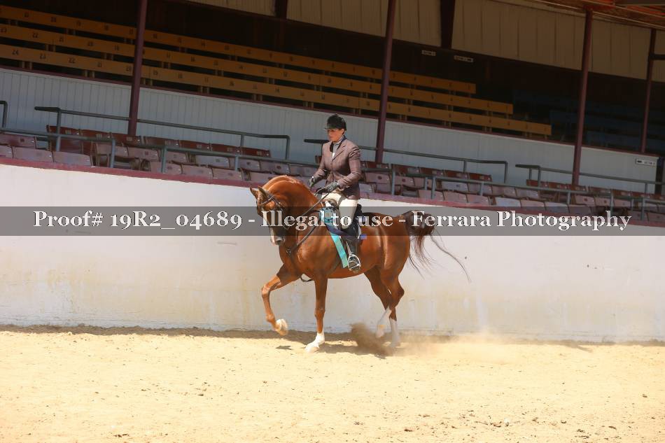 Proof Number 19R2_04689