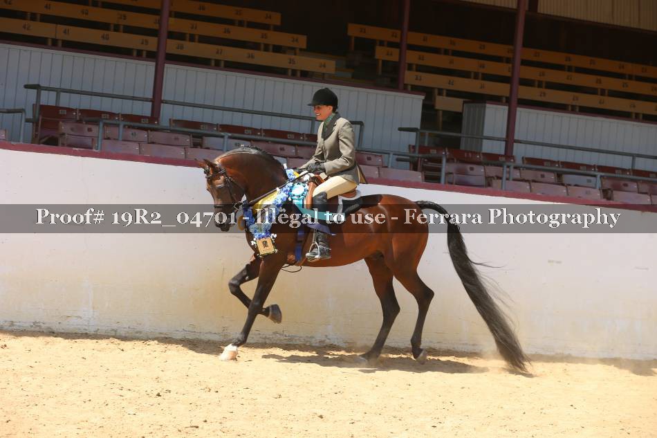 Proof Number 19R2_04701