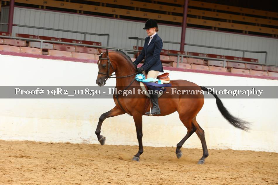 Proof Number 19R2_01850
