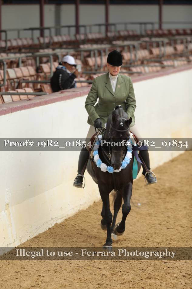 Proof Number 19R2_01854
