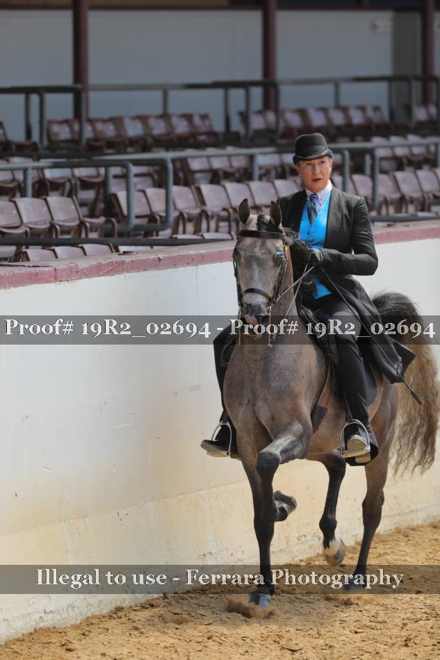 Proof Number 19R2_02694