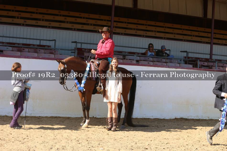 Proof Number 19R2_03380