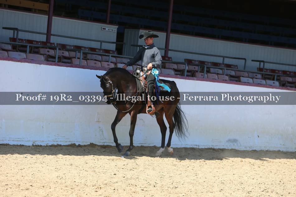 Proof Number 19R2_03394