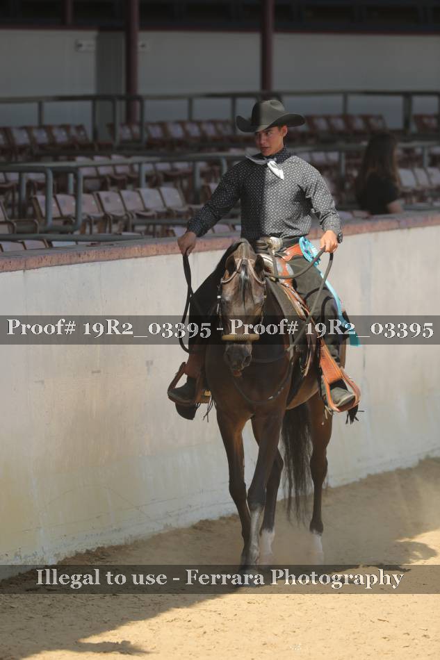 Proof Number 19R2_03395