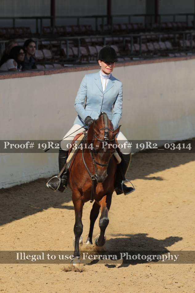 Proof Number 19R2_03414
