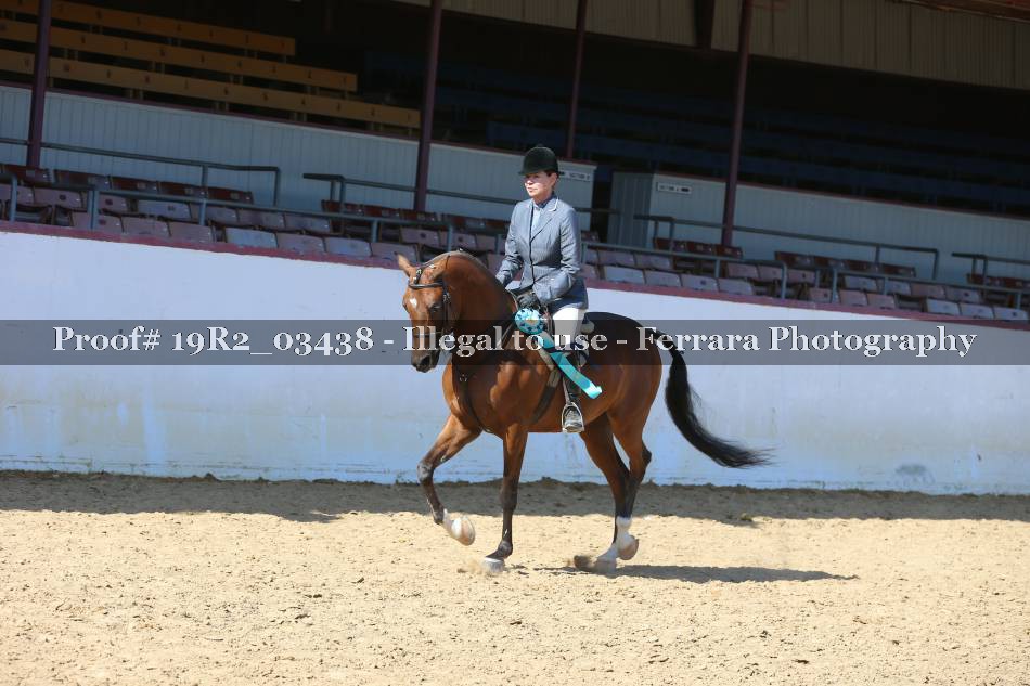 Proof Number 19R2_03438