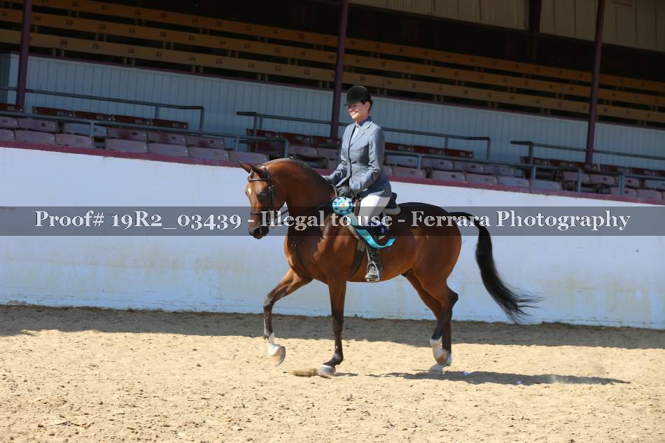 Proof Number 19R2_03439